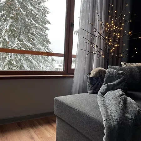 Snow Story Daire Pamporovo