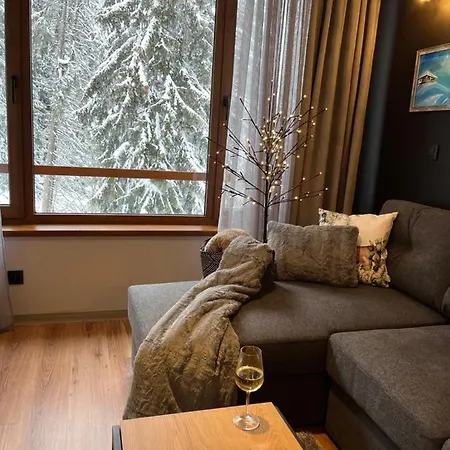 Snow Story Daire *